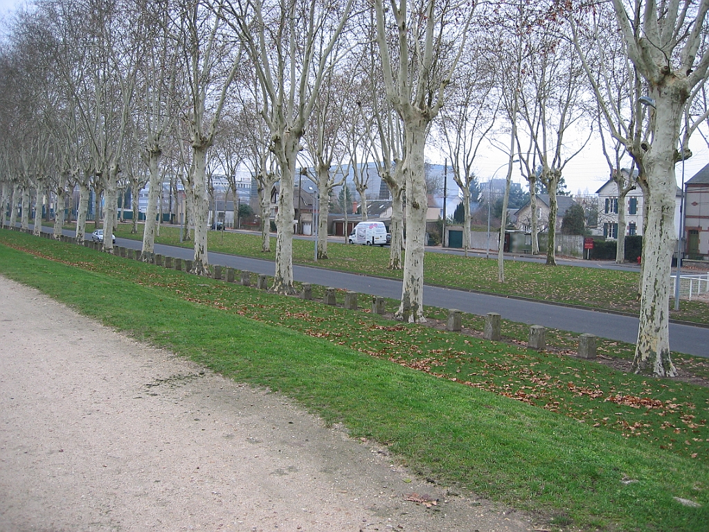 Loire en crue 08.jpg